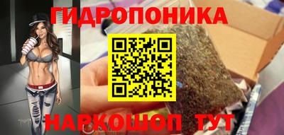 ECSTASY Кимры