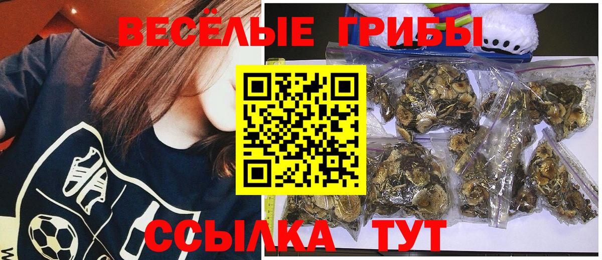 Псилоцибиновые грибы Cubensis Ковров