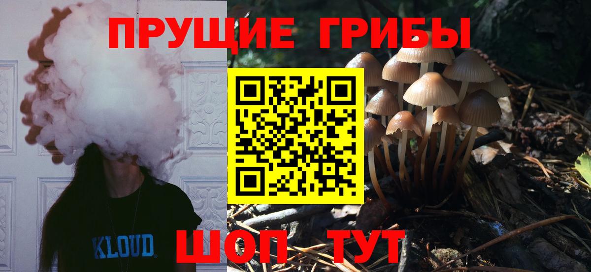 Псилоцибиновые грибы MAGIC MUSHROOMS  Галлюциногенные грибы ЛСД  Вход с VPN  Ковров 